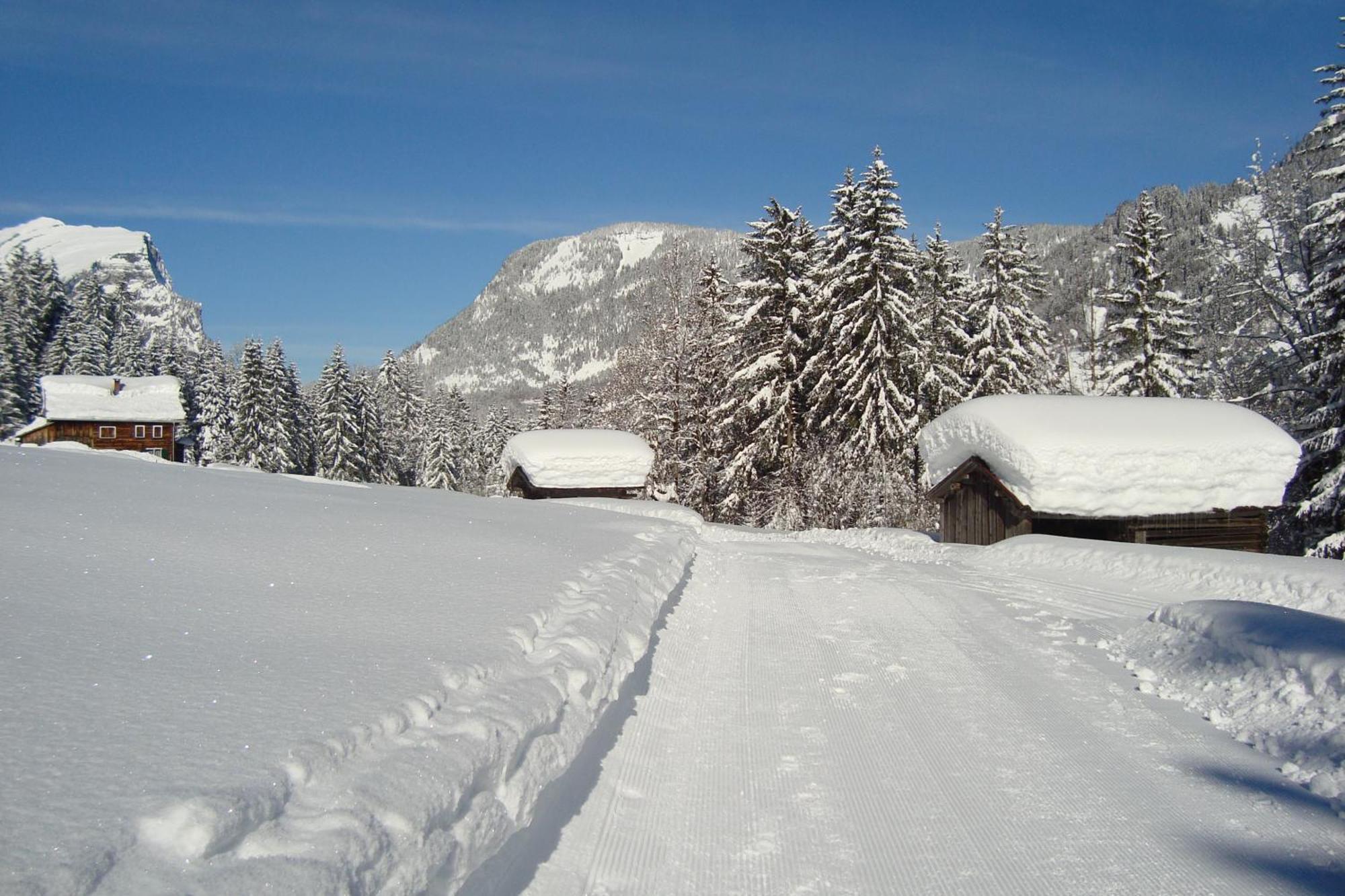 Ferienbauernhof Oberhauser ชอปเปอร์เนา ภายนอก รูปภาพ