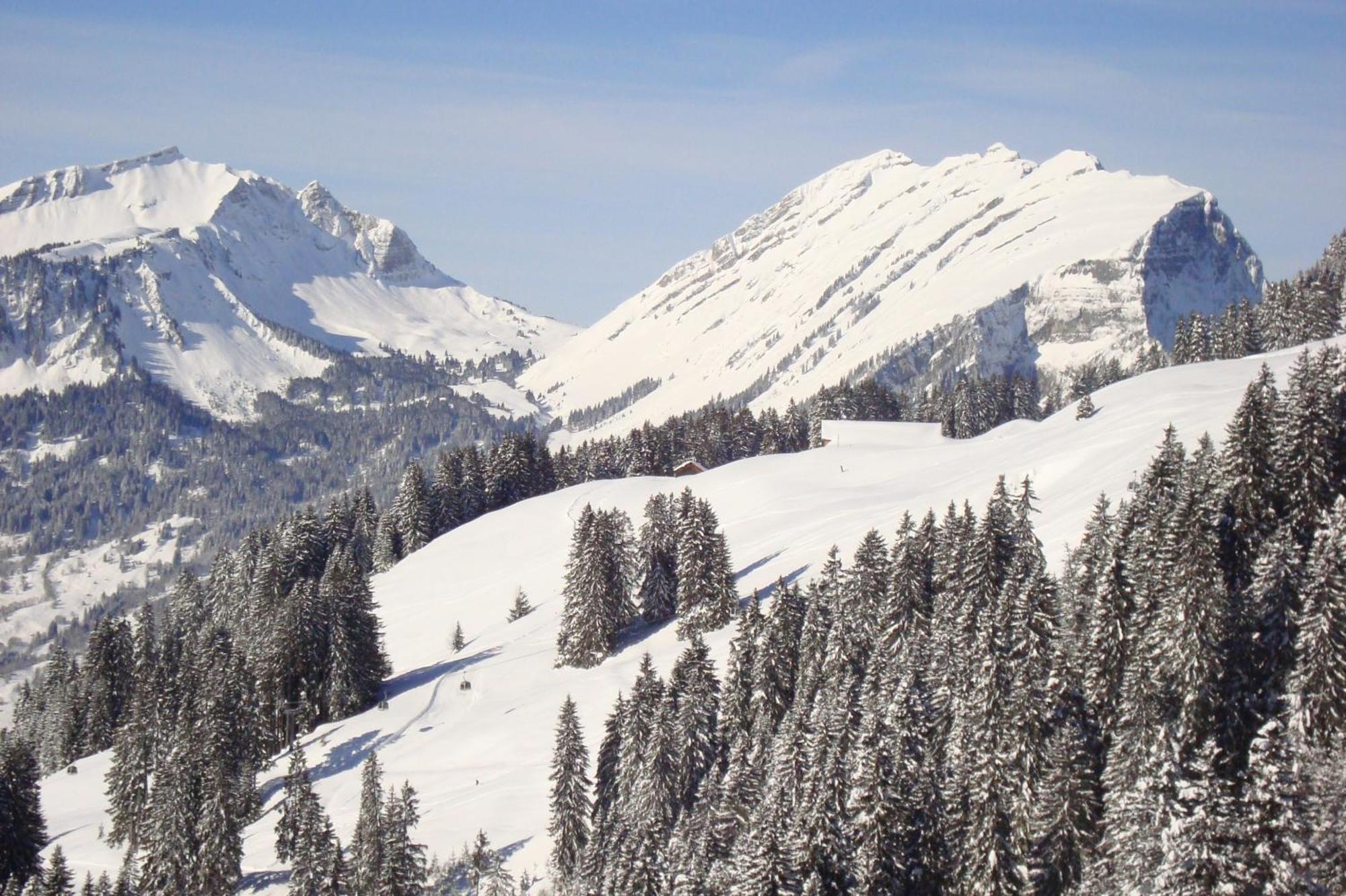 Ferienbauernhof Oberhauser ชอปเปอร์เนา ภายนอก รูปภาพ